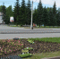 В Барнауле на площади Мира посадили цветы и кедры - Barnaul-Altai.Ru
