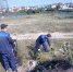 Волонтеры провели акцию по очистке берега р.Ляпиха в районе с.Гоньба - Администрация г. Барнаул