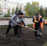 Завтра в Барнауле начинается месячник осенней санитарной очистки - Вечерний Барнаул