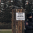 "Идиотский поступок": Виктор Томенко оценил установку памятника Александру Карлину - ИА Амител