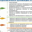 модели.jpg - Администрация г. Барнаул