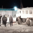 Такой день. Задержания в алтайском фонде и проверка "Динамо" на "договорняки" - ИА Амител
