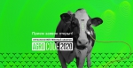 AgroCode — хакатон, конкурс идей, чемпионат и конференция в сфере агротехнологий