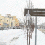 Аллею в честь алтайского солдата Алексея Скурлатова открыли в Барнауле - Сетевое издание Толк