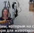 Молодожёны, которым на свадьбе дарили корм для животных, получили ящик мандаринов от телеканала «Катунь 24» - Телеканал Катунь 24