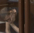 Суд ужесточил наказание виновнику резонансного ДТП в Барнауле Александру Руденко - Телеканал Катунь 24