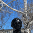 Бюст Матросова Фото:ИА "Банкфакс" - Сетевое издание Толк