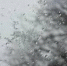 Дождь, мокрый снег и сильный ветер - МЧС Алтайского края