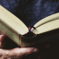 Россияне ко Всемирному дню книг назвали своих любимых авторов - Сетевое издание Толк