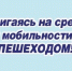 Госавтоинспекция Алтайского края напоминает о правилах использования современных средств индивидуальной мобильности - ГИБДД Алтайского края
