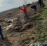 Свалку мусора по ул. Ковыльной и Сосновой убрали муниципальные служащие - Администрация г. Барнаул