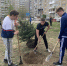 Александр Лисицын помог барнаульцам озеленить детскую площадку после сноса аварийных тополей - Единая Россия