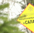 Нацпарк «Салаир» столкнулся с кадровой и финансовой проблемами - ГТРК Алтай