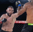 Барнаульский боец MMA победил в престижном турнире - Администрация г. Барнаул