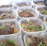 Сотрудникам одного из бийских ковид-госпиталей привозят горячие завтраки, обеды и ужины из кафе - ГТРК Алтай