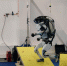 Двуногая машина. Boston Dynamics показала роботов, занимающихся паркуром - ИА Амител