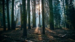 Фото: unsplash.com