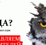 «Что? Где? Когда?»: вторая игра сезона - АГИК