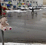 В Барнауле похоронили 13-летнюю школьницу, которую сбил водитель маршрутки - ИА Амител