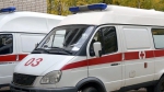 В российской больнице умер 8-летний мальчик, который сутки провёл в приёмных покоях