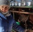 Елена Зыкова, финансовый директор предприятия "Эко-Продукт" - Сетевое издание Толк
