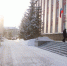 Не надо нагнетать. Власти объяснили, почему рвут договоры с Алтайлесом - Сетевое издание Толк