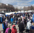 В Ленинском районе прошла предпоследняя в весеннем сезоне продовольственная ярмарка - Администрация г. Барнаул