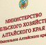 В минсельхозе региона спецкомиссия приняла защиту 36 бизнес-проектов - ГТРК Алтай