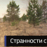 Участки муниципальной земли в пригороде Барнаула по странной схеме ушли в частные руки - ГТРК Алтай