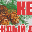 Экологическая акция «Кедр – в каждый двор» привлекает все больше участников - КПРФ