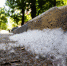 GIWLF0x6I3e92mOtGplZ.jpg - Администрация г. Барнаул