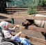 В краевом оздоровительном лагере организовали профильную смену для алтайских детей с ограниченными возможностями здоровья - Barnaul-Altai.Ru