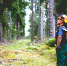 resource-mgmt-640.jpg - Управление по образованию