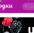 Wildberries поменял название сайта на «Ягодки» - ИА Амител