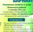 Праздничная программа состоится в День города в Ленинском районе на площади Мира - Администрация г. Барнаул