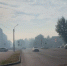 Бийск заволокло дымом. Что случилось? - ИА Атмосфера
