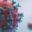 Медицинский журнал Lancet не исключает лабораторное происхождение COVID-19 - ИА Амител