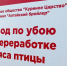 Алтайский бройлер искал 600 сотрудников для только что запущенных мощностей - Сетевое издание Толк