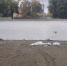 В парке Изумрудный в октябре планируют заполнить новый пруд водой - Сетевое издание Толк