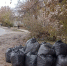 В рамках месячника осенней саночистки в Железнодорожном районе Барнаула продолжают проводить экологические акции - Администрация г. Барнаул