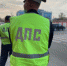 Житель Республики Чувашия подозревается в покушении на дачу взятки сотруднику ГИБДД за не предоставление сопроводительных документов на груз по перевозке лошадей - Следственный комитет