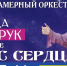 Русский камерный оркестр Барнаула приглашает на концертную программу «Голос сердца» - Администрация г. Барнаул