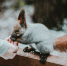 Фото: unsplash.com/@purejulia - АлтГУ