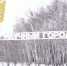 В четырёх пригородных посёлках Барнаула модернизируют систему водоснабжения - Телеканал Катунь 24