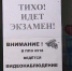 В Алтайском крае завершился приём заявлений на участие в государственном экзамене - ГТРК Алтай