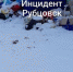 В Рубцовске нарастает мусорный коллапс, несмотря на покупку техники - Сетевое издание Толк