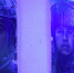 В Барнауле открылась художественная выставка, посвящённая героям спецоперации - ГТРК Алтай