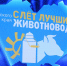 О лучших животноводах края рассказывает «Алтайская нива» - Управление сельского хозяйства