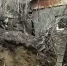 Оползень сошел во дворе частного дома на улице 2-й Больничный взвоз в Бийске - FlashSiberia