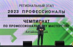 Чемпионат по профессиональному мастерству